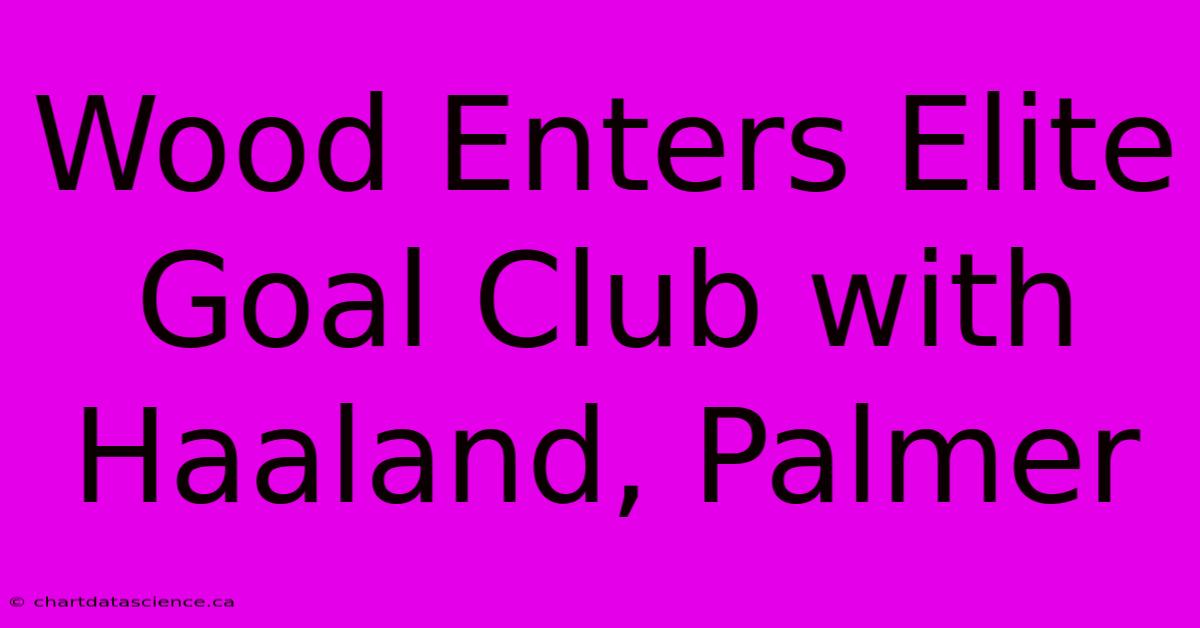 Wood Enters Elite Goal Club With Haaland, Palmer