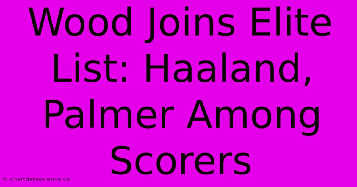 Wood Joins Elite List: Haaland, Palmer Among Scorers