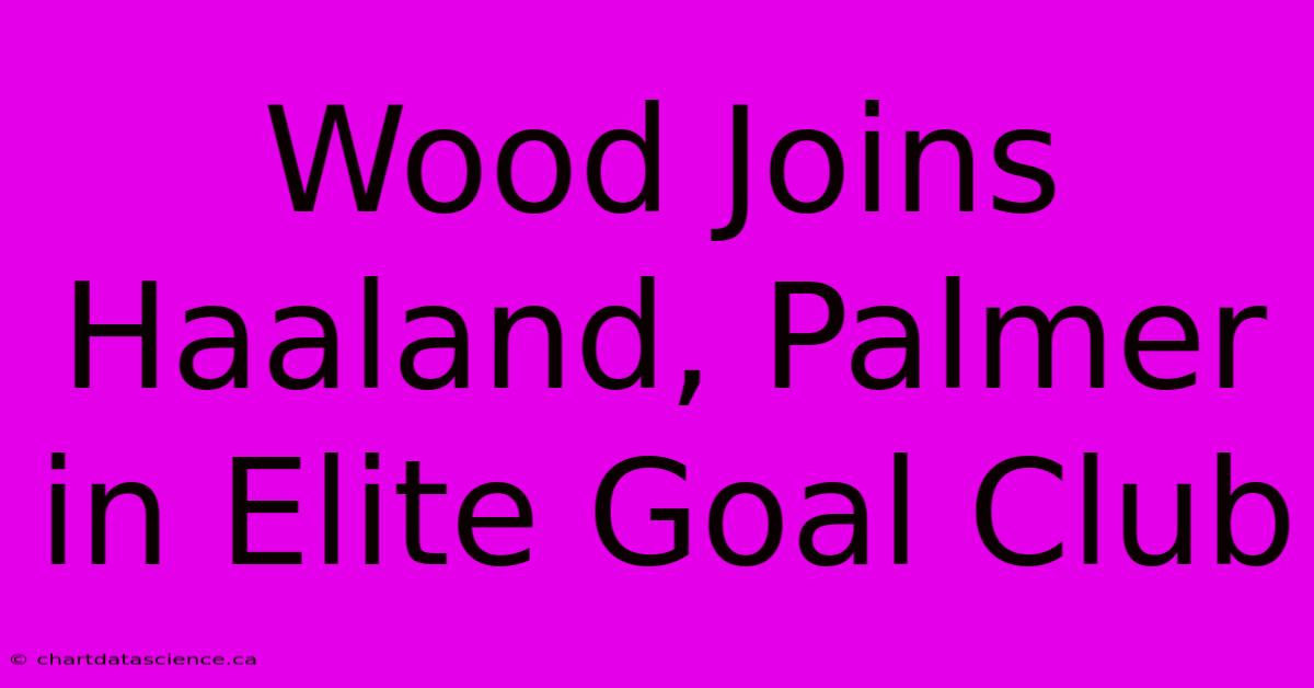 Wood Joins Haaland, Palmer In Elite Goal Club