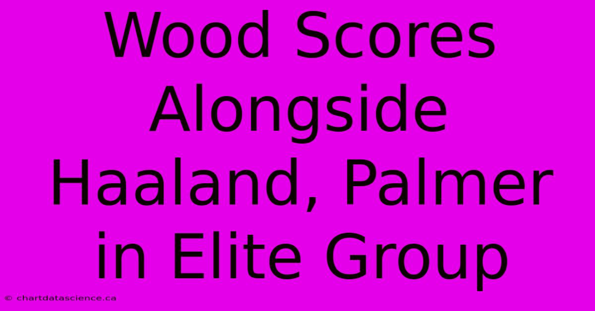 Wood Scores Alongside Haaland, Palmer In Elite Group