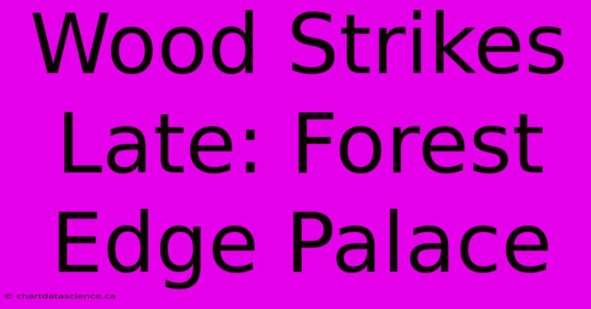 Wood Strikes Late: Forest Edge Palace 