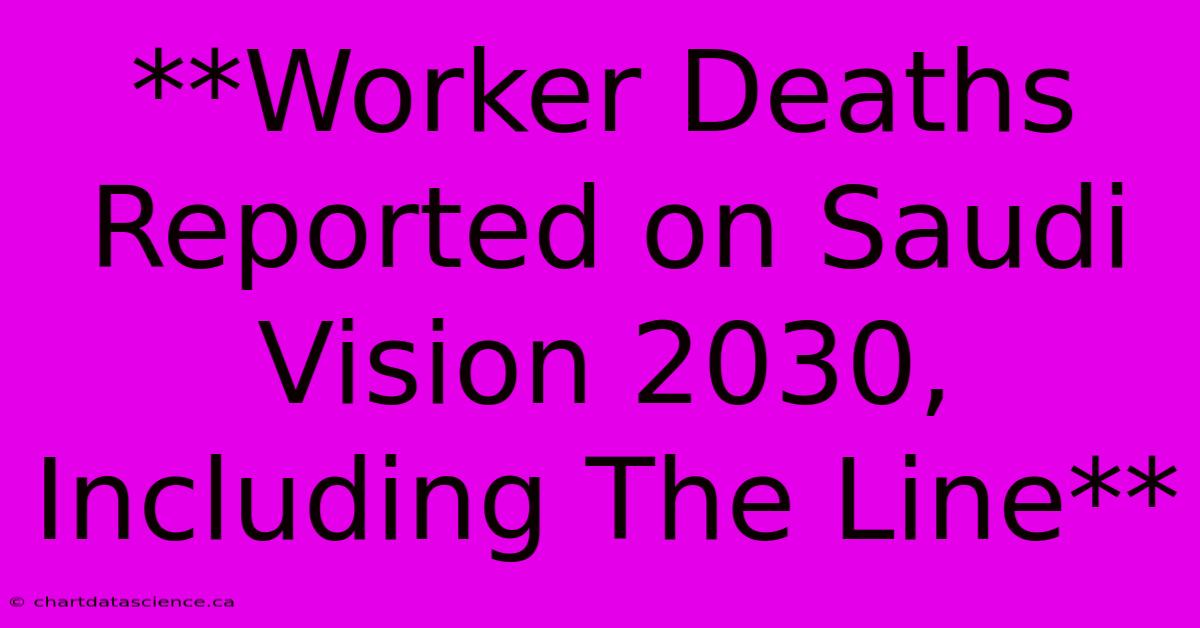 **Worker Deaths Reported On Saudi Vision 2030, Including The Line**