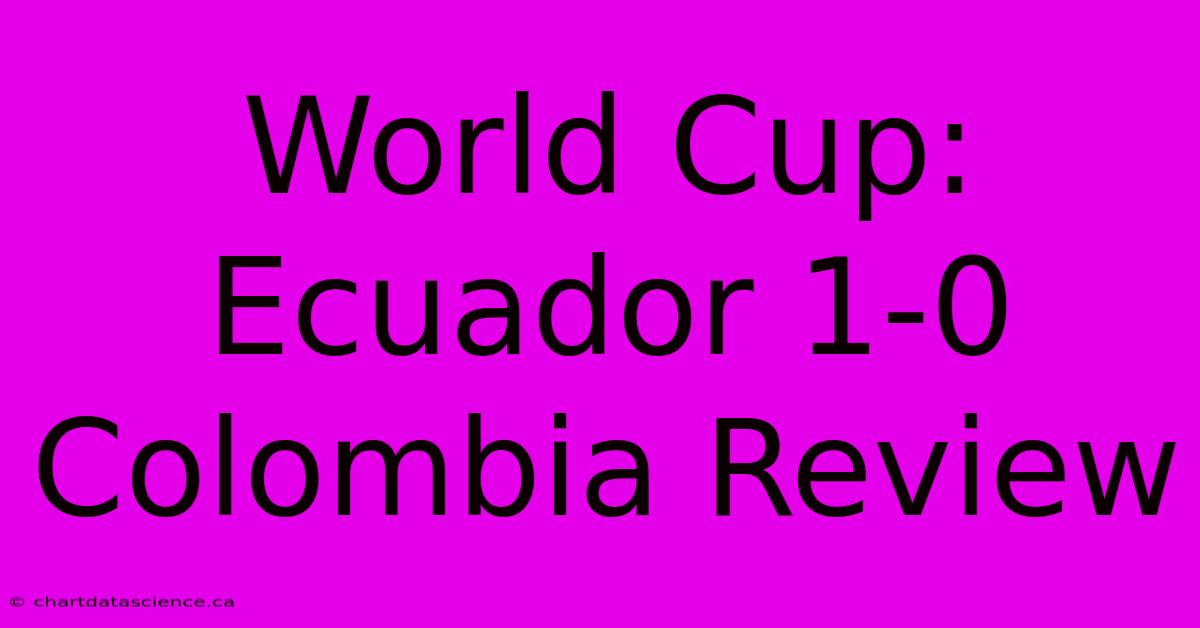 World Cup: Ecuador 1-0 Colombia Review