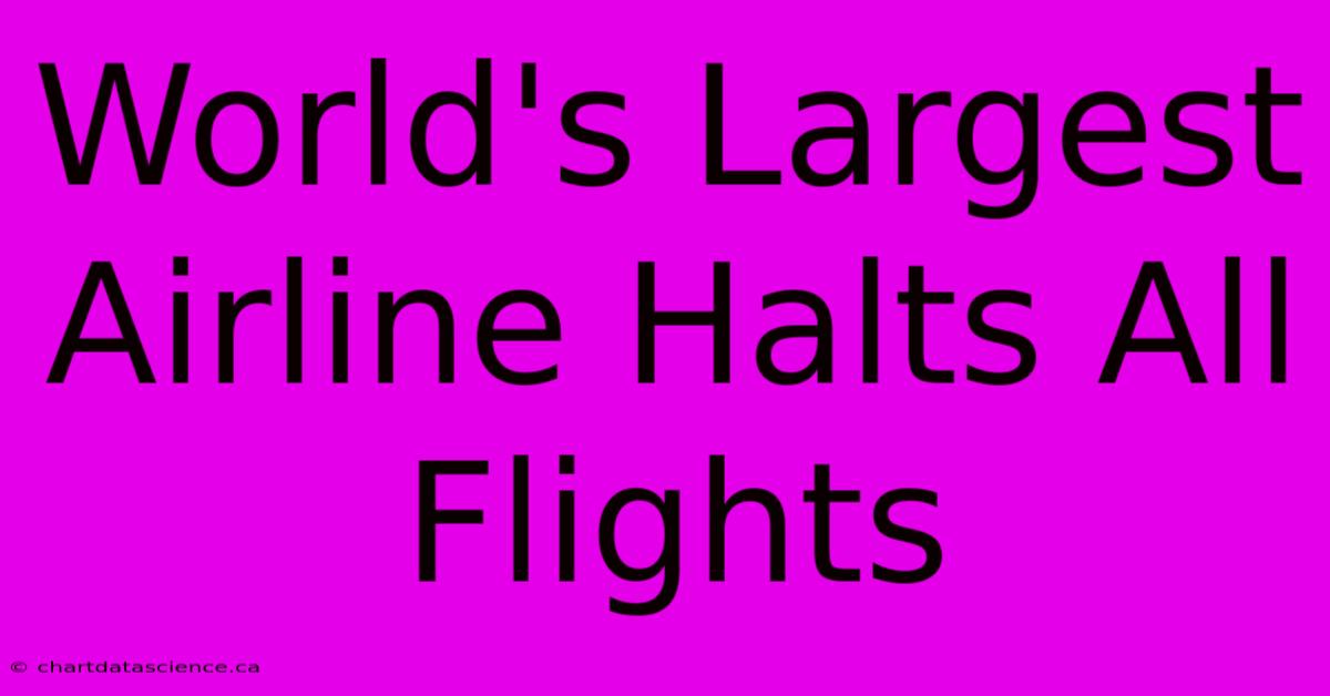 World's Largest Airline Halts All Flights