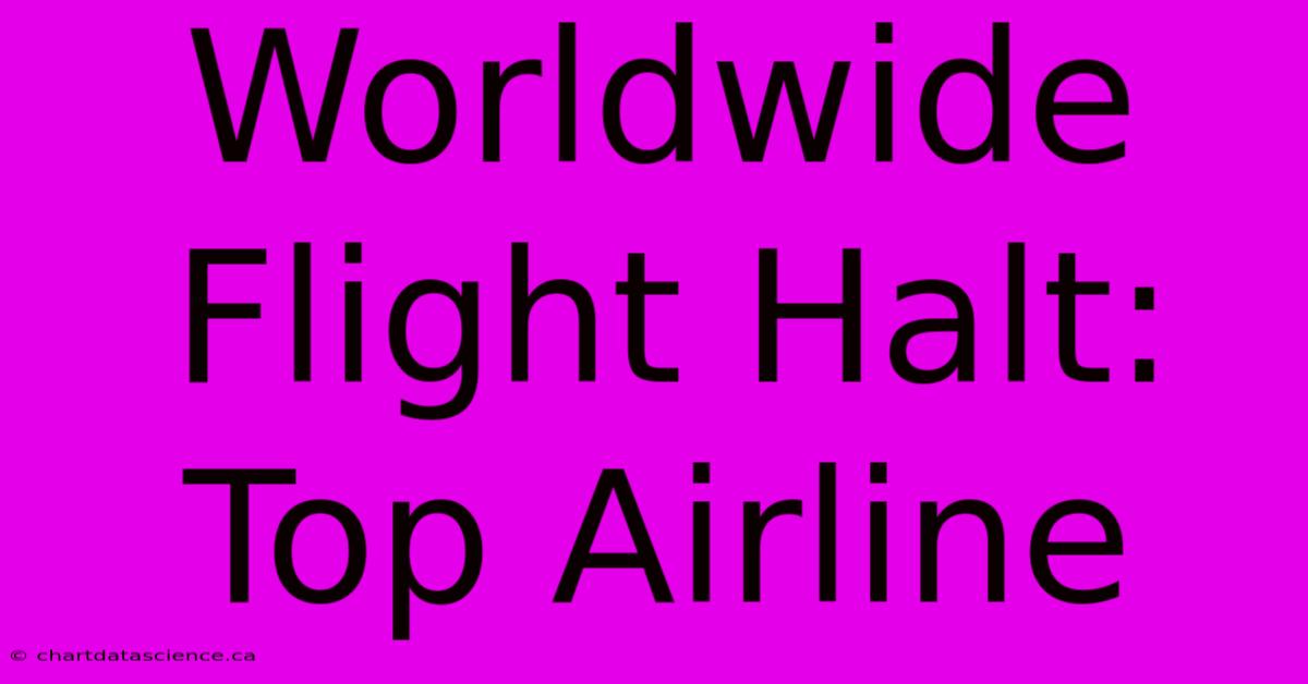 Worldwide Flight Halt: Top Airline