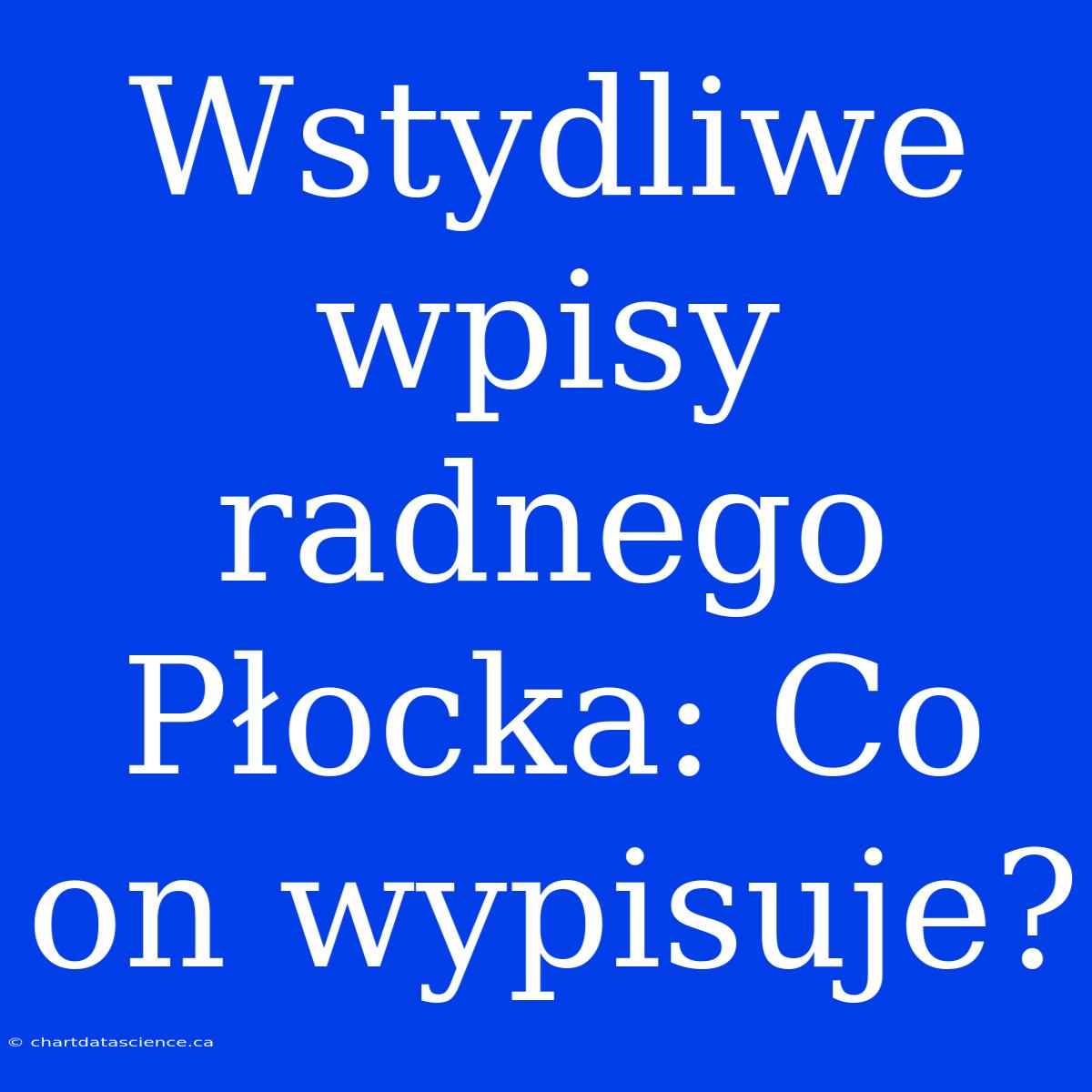 Wstydliwe Wpisy Radnego Płocka: Co On Wypisuje?