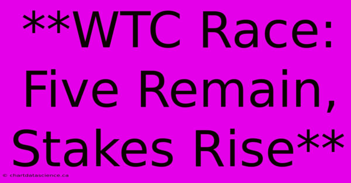 **WTC Race: Five Remain, Stakes Rise** 