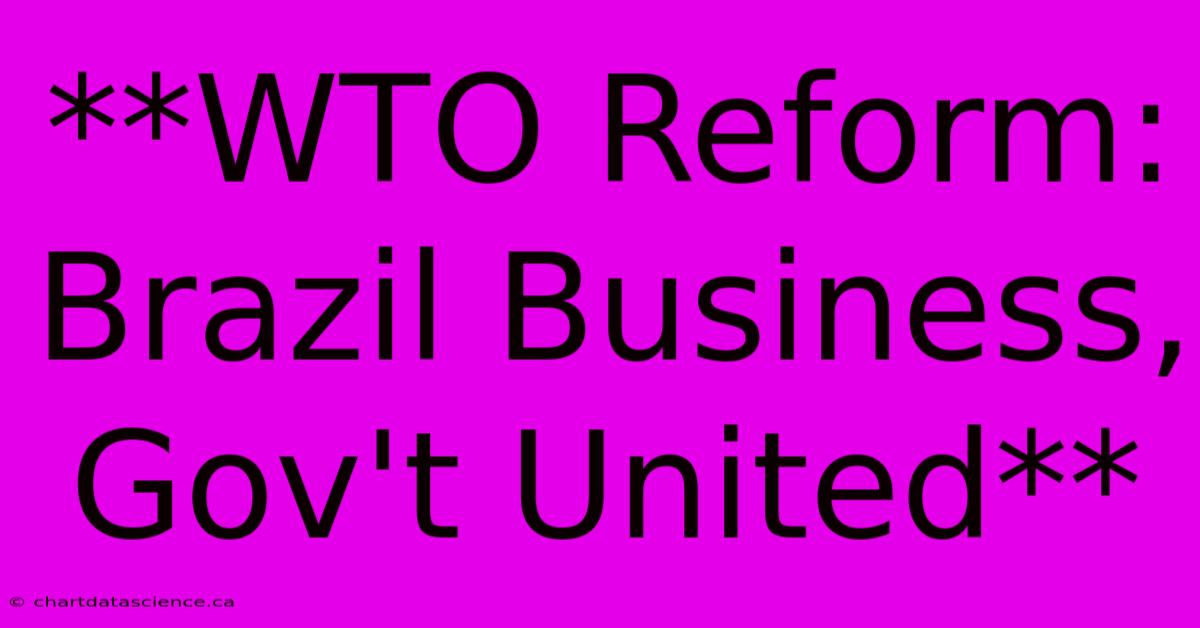 **WTO Reform: Brazil Business, Gov't United**