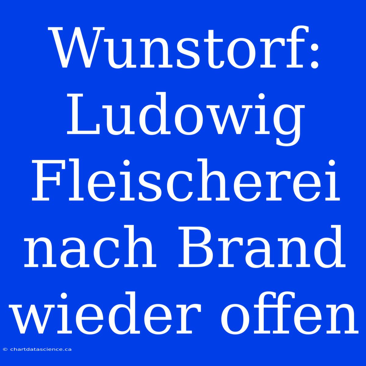 Wunstorf: Ludowig Fleischerei Nach Brand Wieder Offen