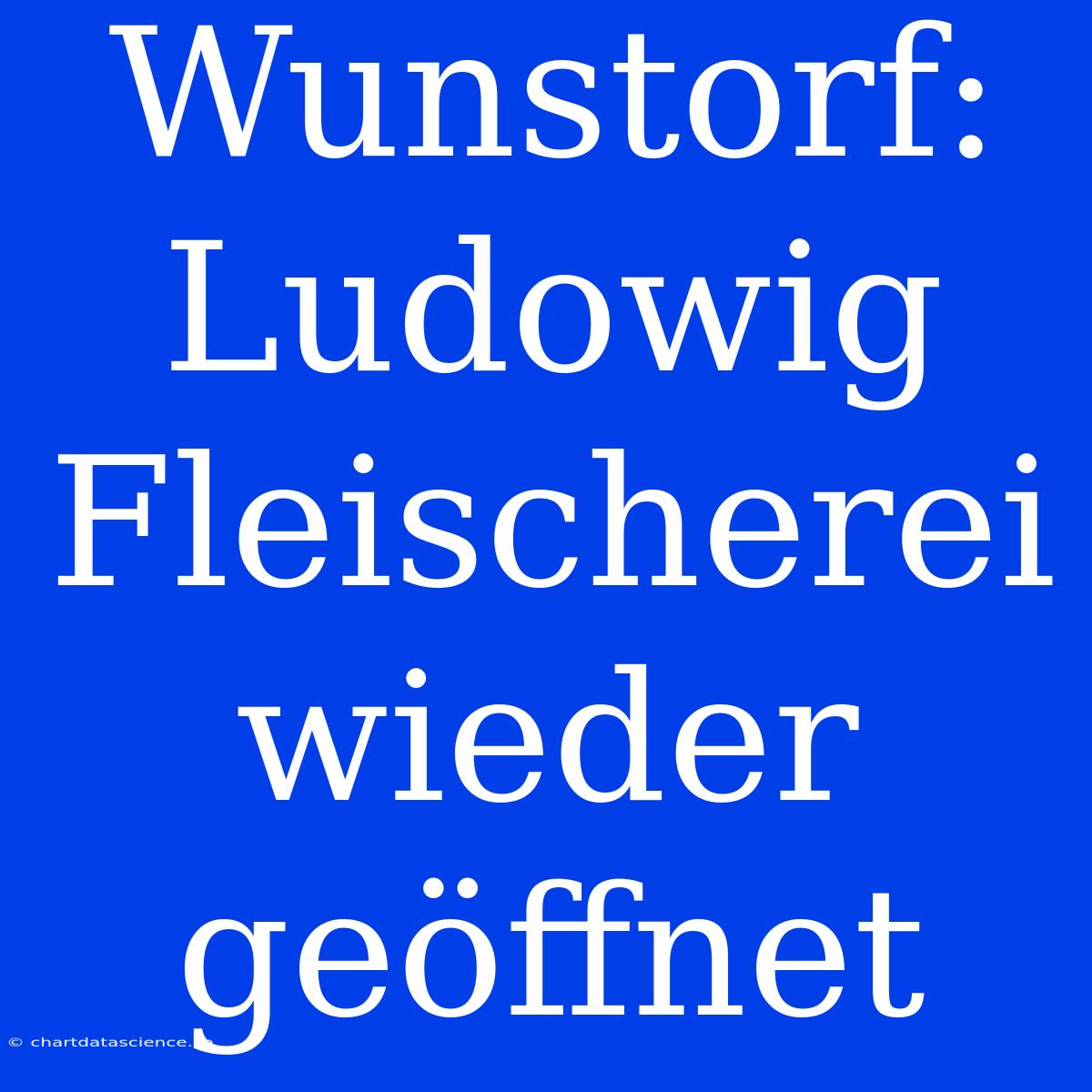 Wunstorf: Ludowig Fleischerei Wieder Geöffnet