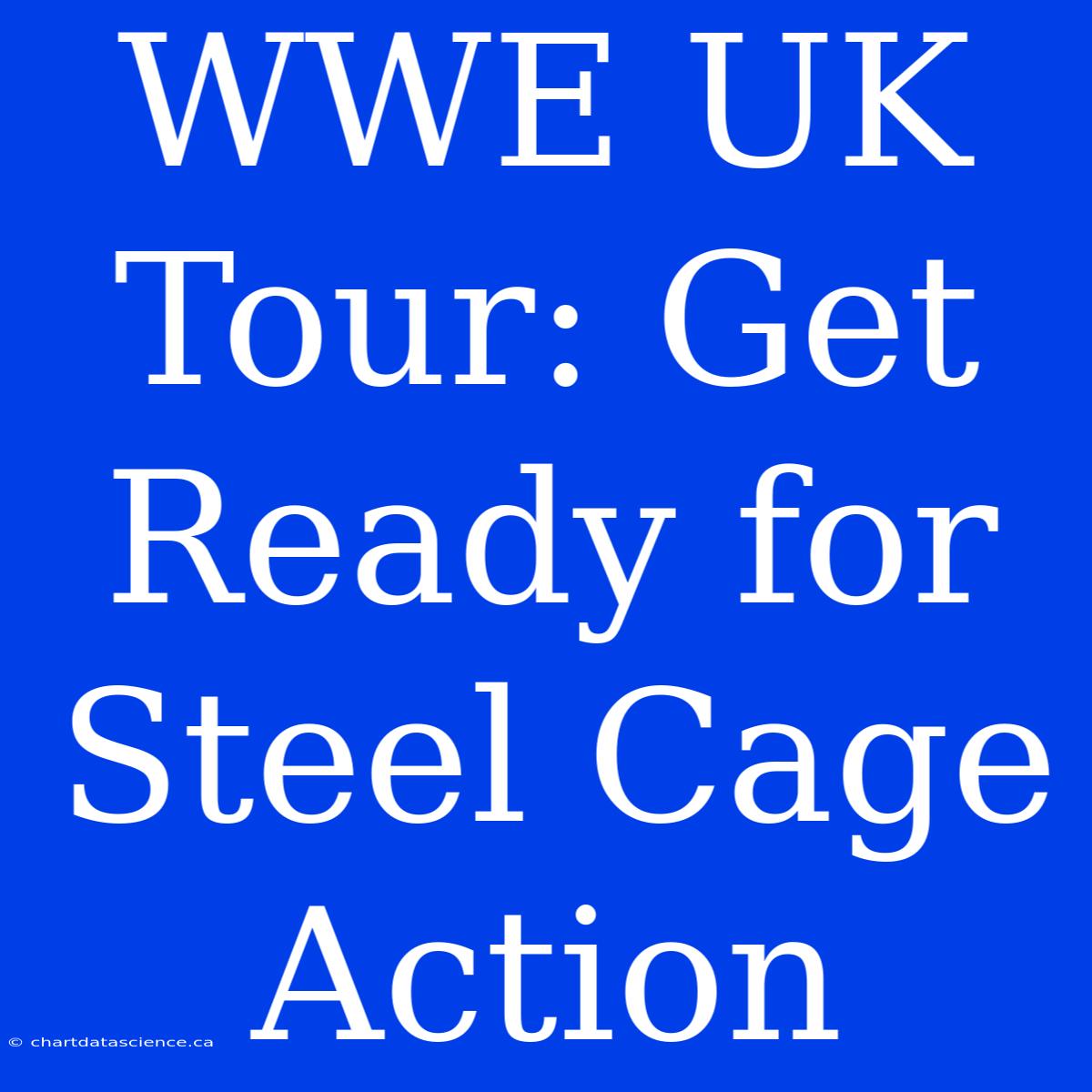 WWE UK Tour: Get Ready For Steel Cage Action