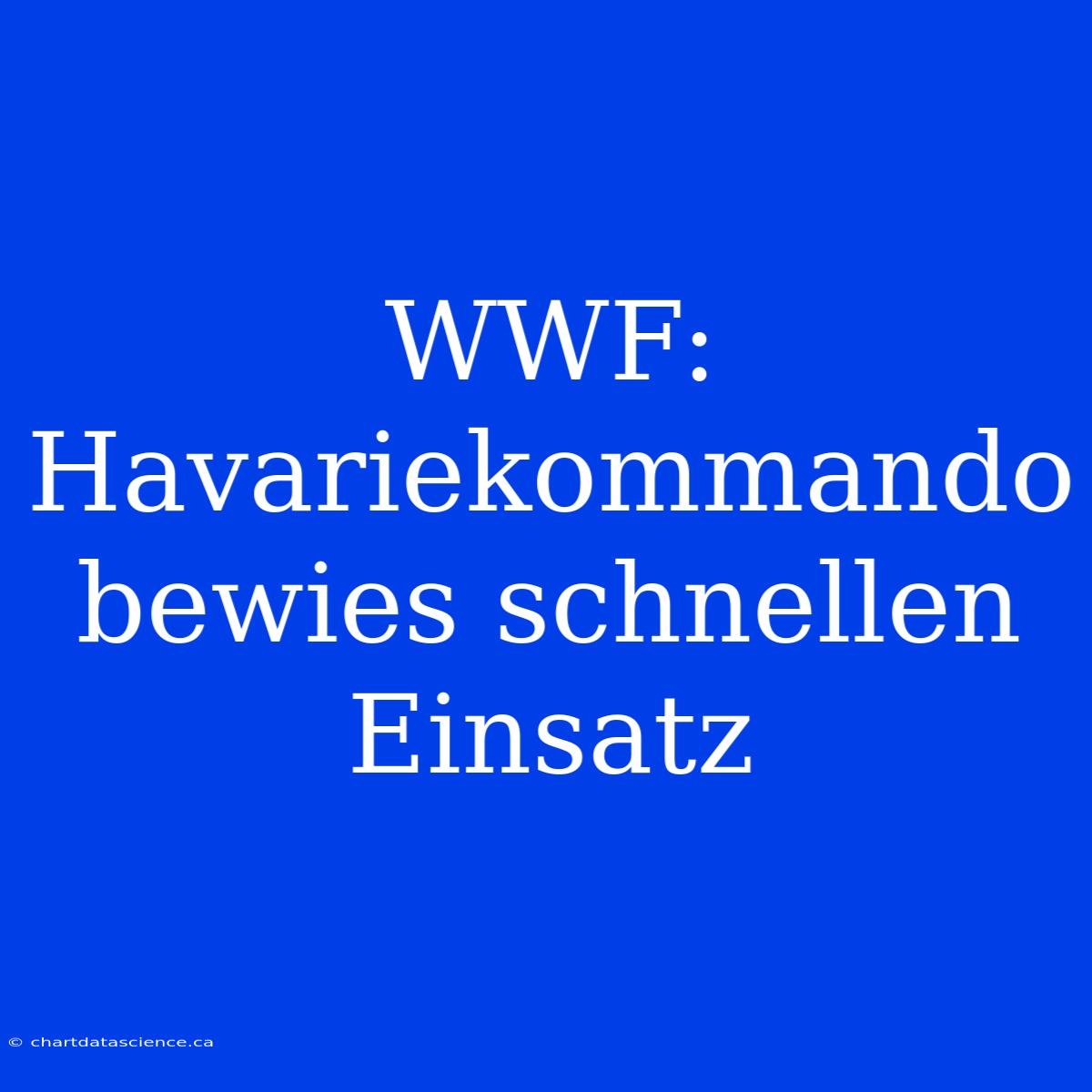 WWF: Havariekommando Bewies Schnellen Einsatz