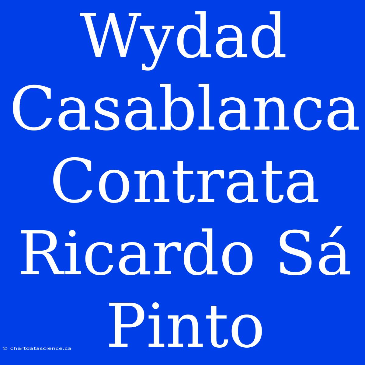 Wydad Casablanca Contrata Ricardo Sá Pinto