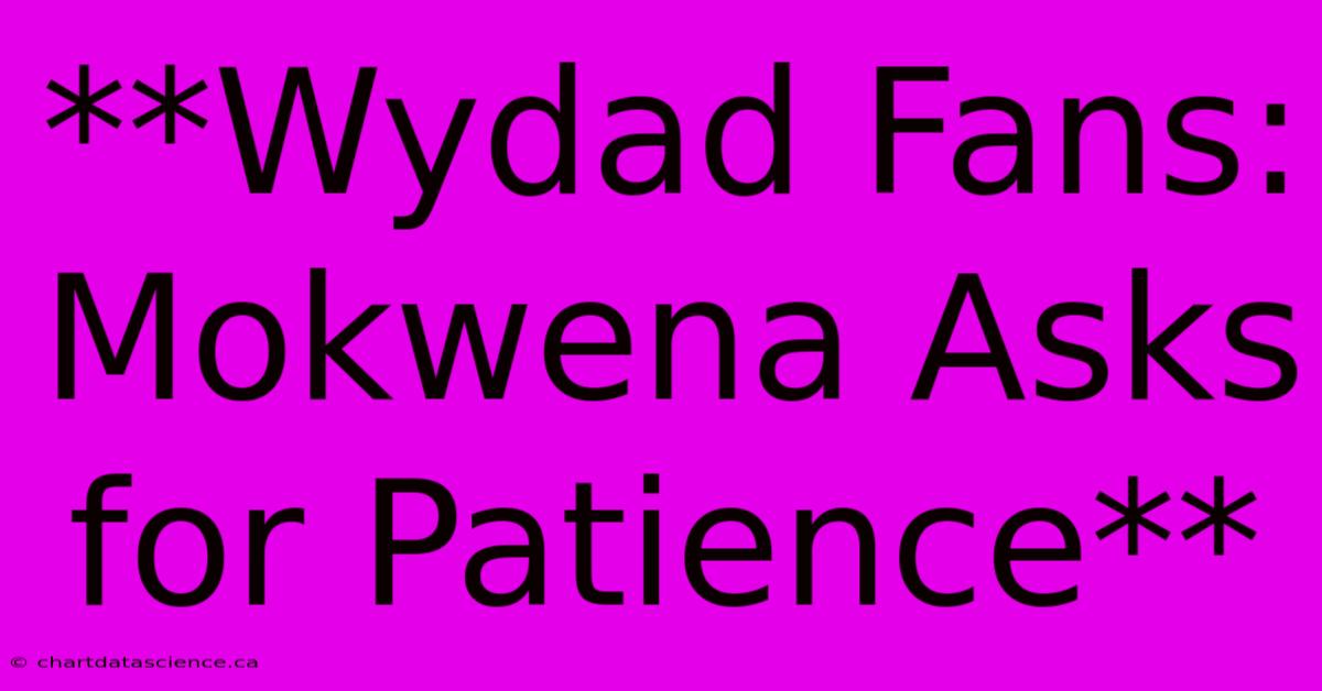 **Wydad Fans: Mokwena Asks For Patience**