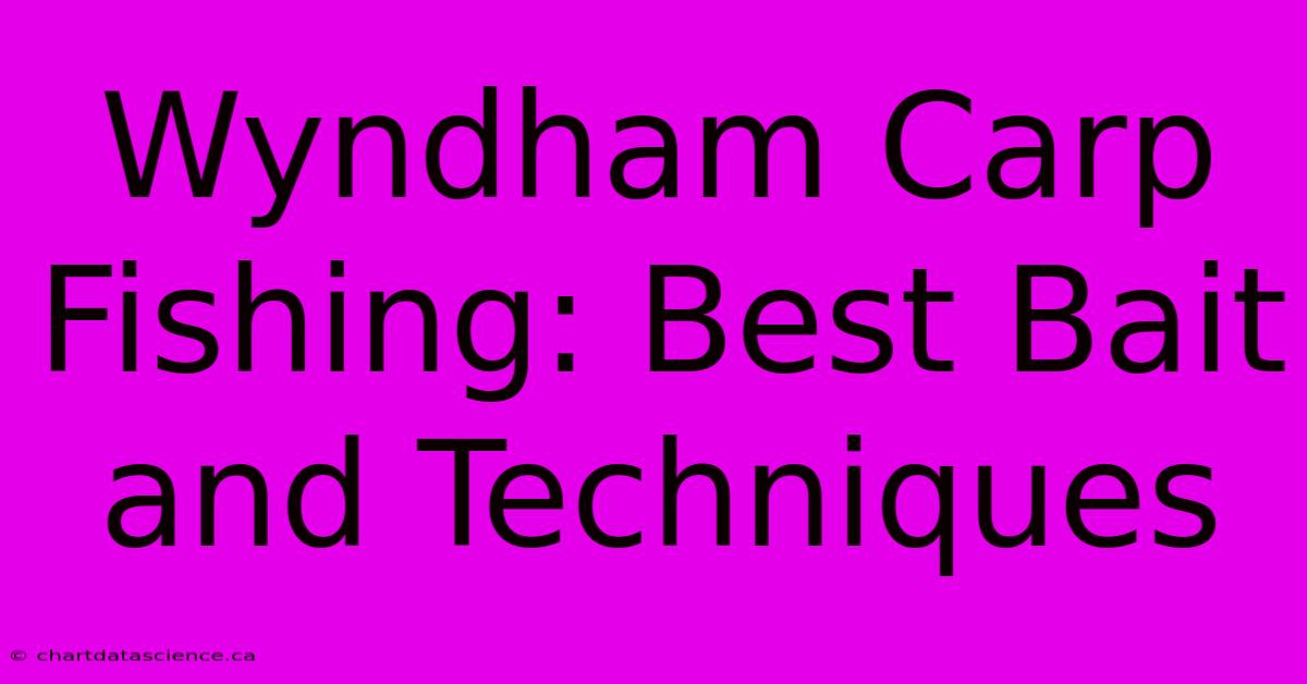 Wyndham Carp Fishing: Best Bait And Techniques