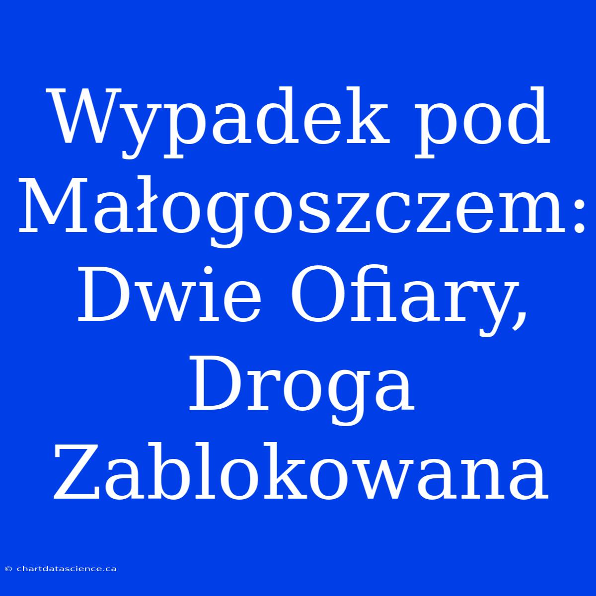 Wypadek Pod Małogoszczem: Dwie Ofiary, Droga Zablokowana