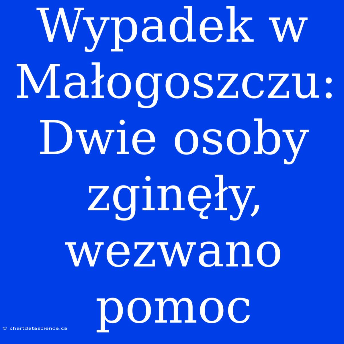 Wypadek W Małogoszczu: Dwie Osoby Zginęły, Wezwano Pomoc