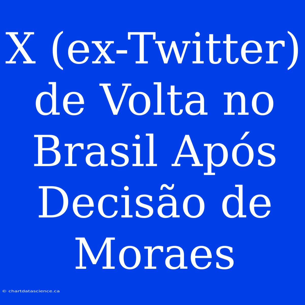 X (ex-Twitter) De Volta No Brasil Após Decisão De Moraes