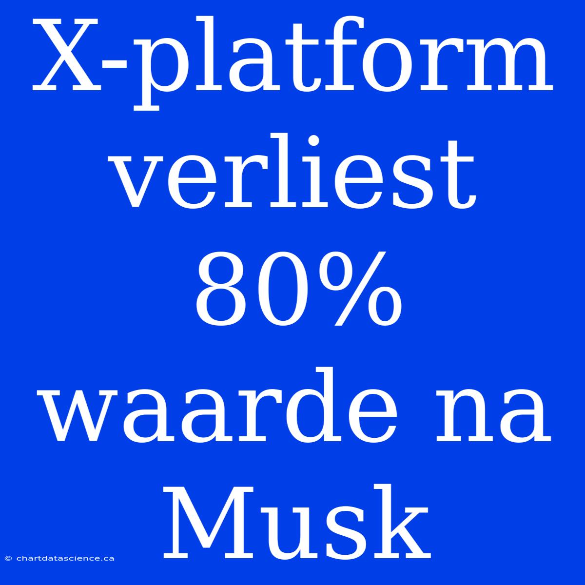 X-platform Verliest 80% Waarde Na Musk