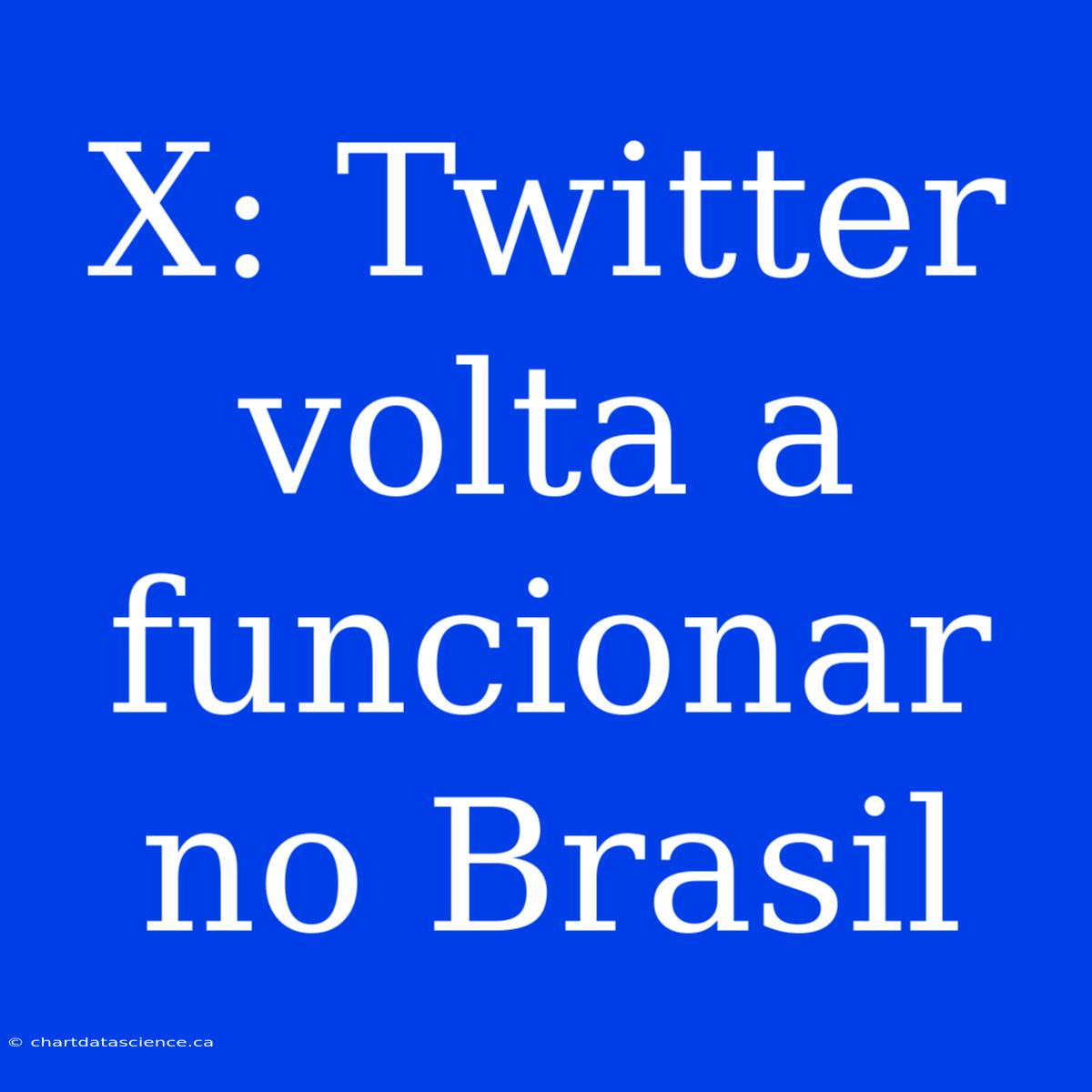 X: Twitter Volta A Funcionar No Brasil