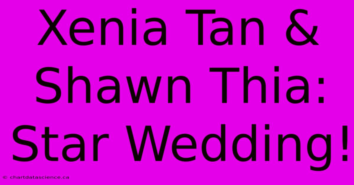 Xenia Tan & Shawn Thia: Star Wedding!