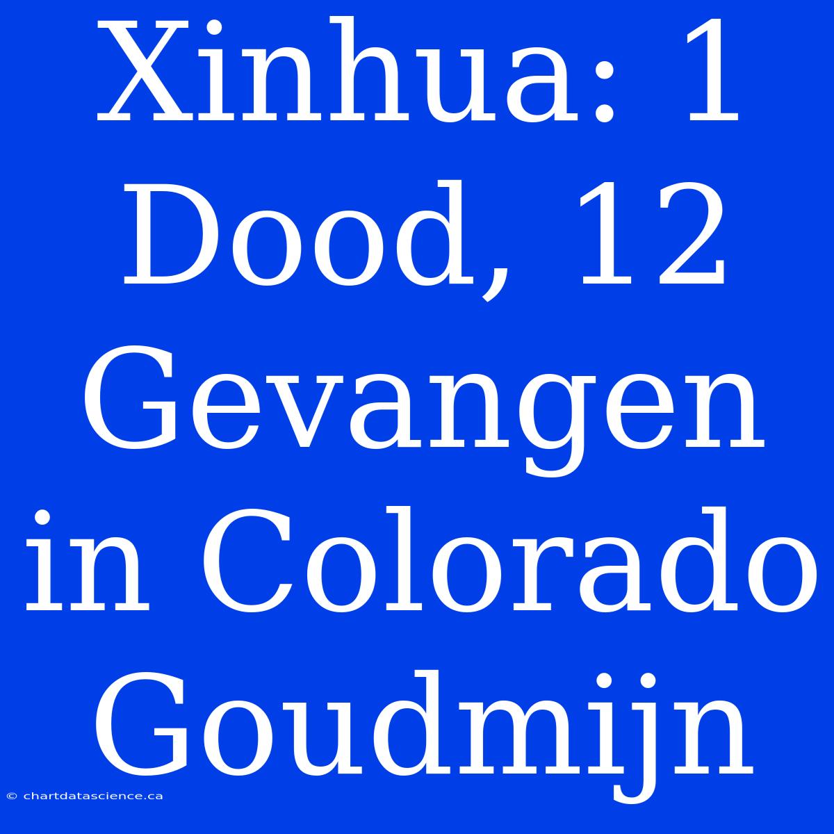 Xinhua: 1 Dood, 12 Gevangen In Colorado Goudmijn