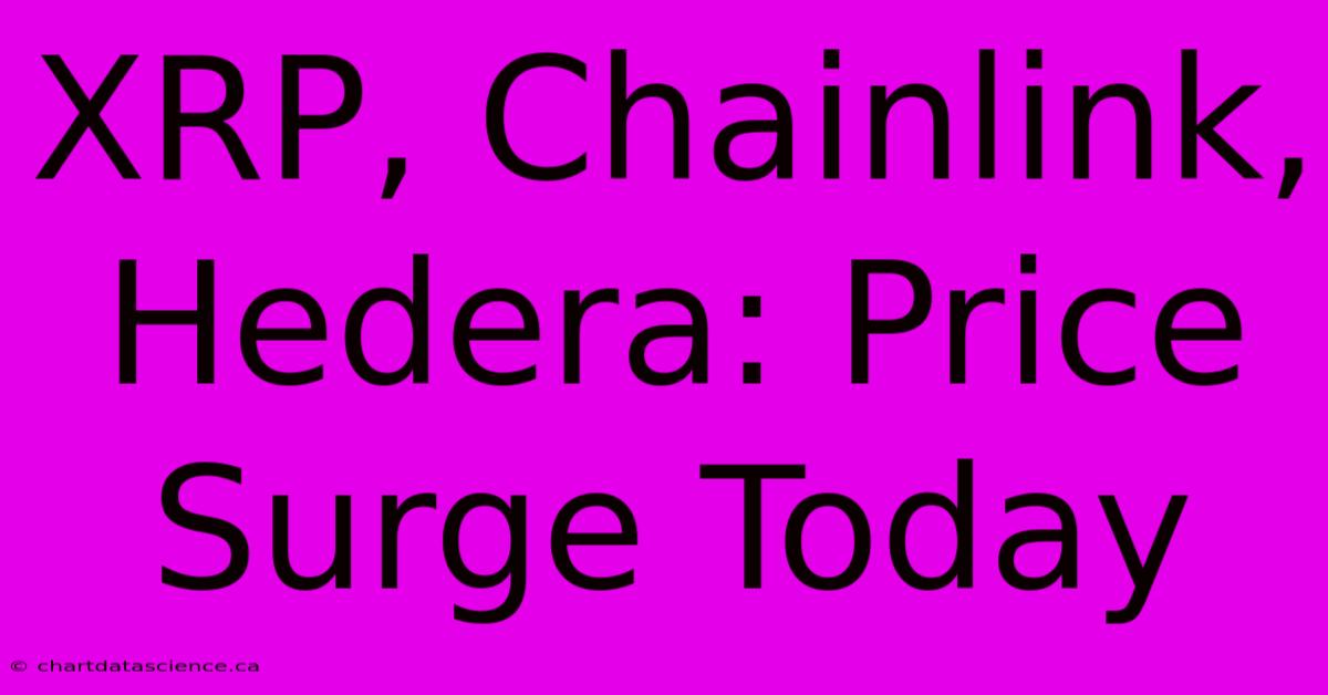 XRP, Chainlink, Hedera: Price Surge Today