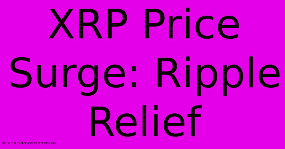 XRP Price Surge: Ripple Relief