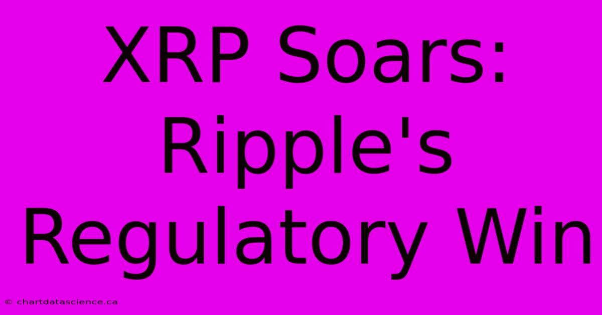 XRP Soars: Ripple's Regulatory Win