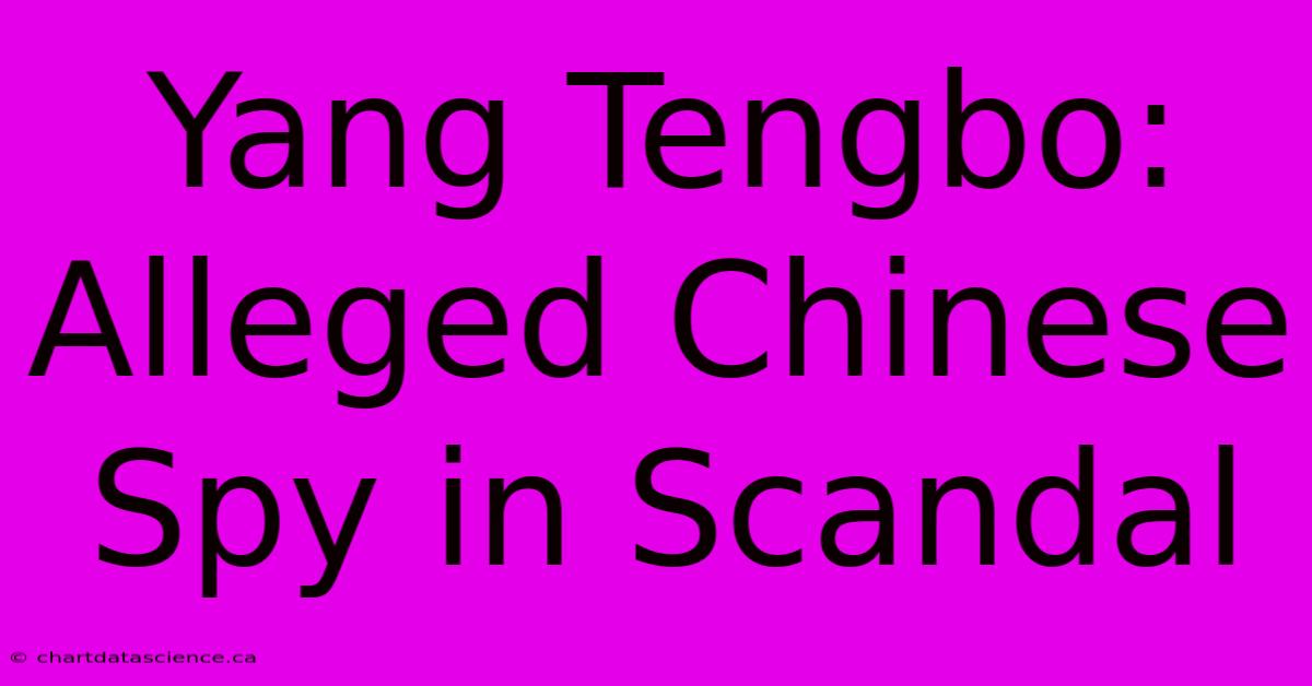 Yang Tengbo: Alleged Chinese Spy In Scandal