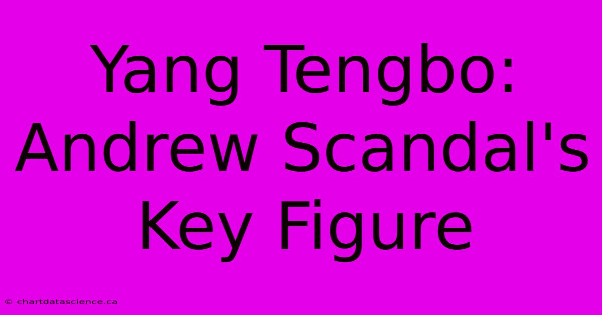 Yang Tengbo: Andrew Scandal's Key Figure