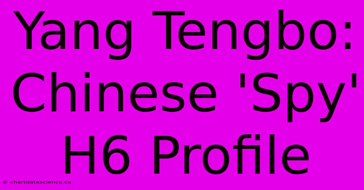 Yang Tengbo: Chinese 'Spy' H6 Profile