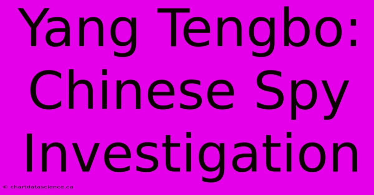 Yang Tengbo: Chinese Spy Investigation