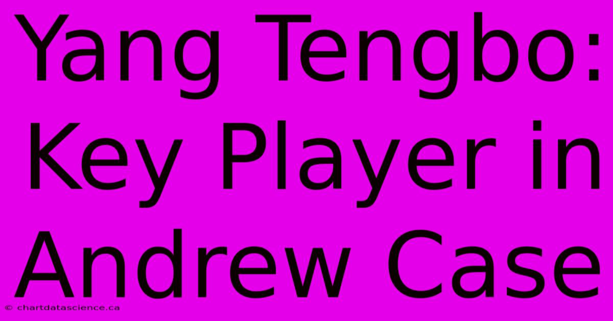 Yang Tengbo:  Key Player In Andrew Case