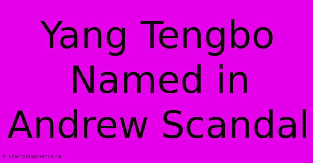 Yang Tengbo Named In Andrew Scandal