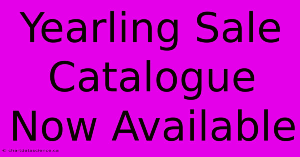 Yearling Sale Catalogue Now Available