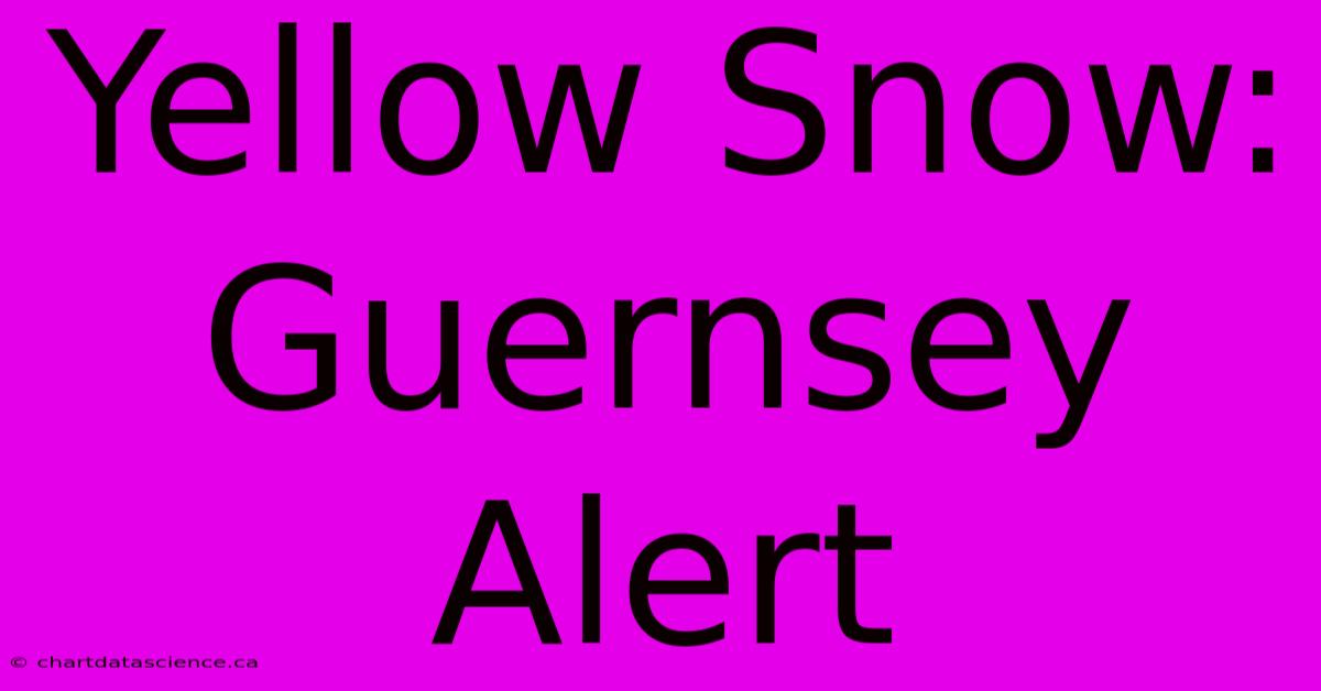 Yellow Snow: Guernsey Alert