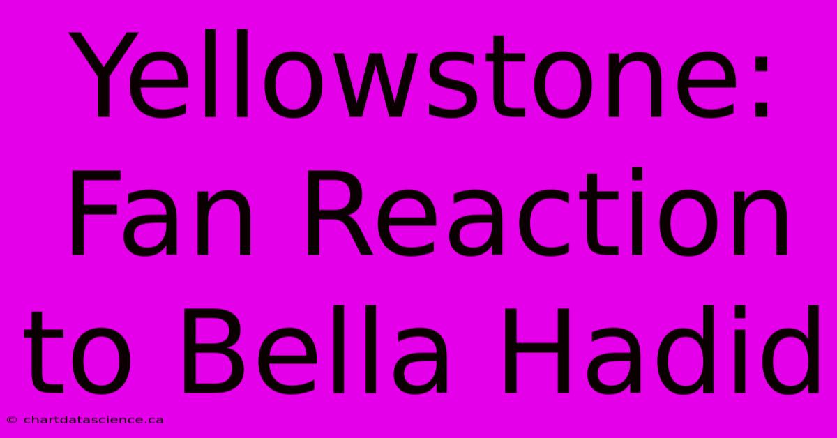 Yellowstone: Fan Reaction To Bella Hadid