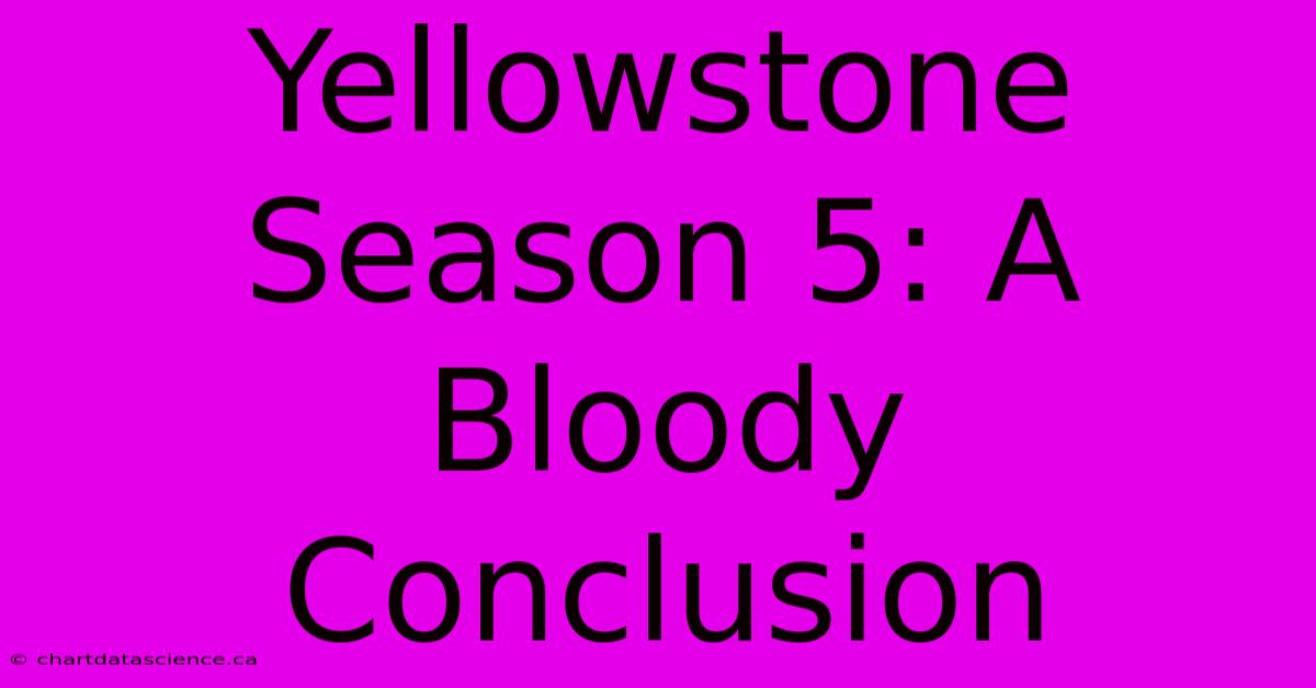 Yellowstone Season 5: A Bloody Conclusion