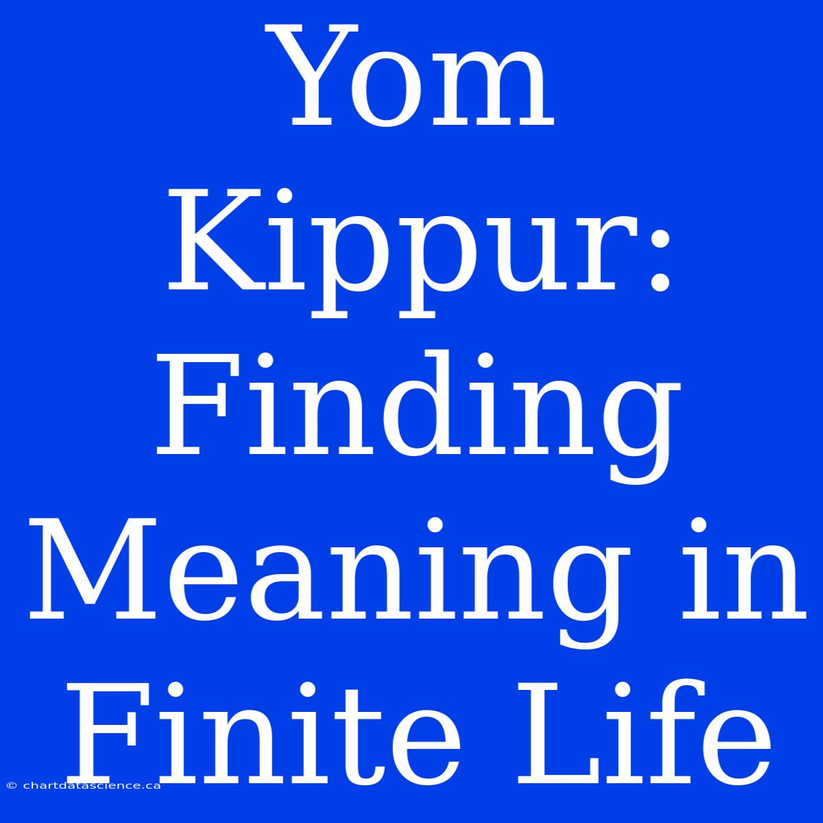 Yom Kippur:  Finding Meaning In Finite Life