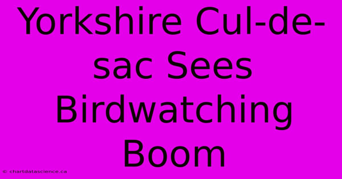 Yorkshire Cul-de-sac Sees Birdwatching Boom