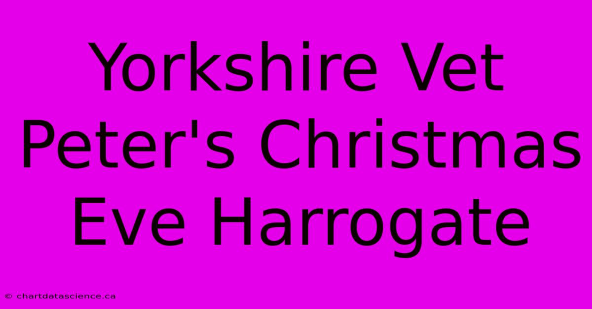 Yorkshire Vet Peter's Christmas Eve Harrogate