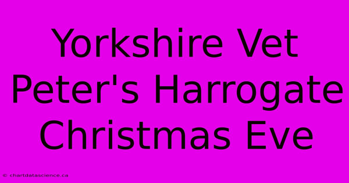 Yorkshire Vet Peter's Harrogate Christmas Eve