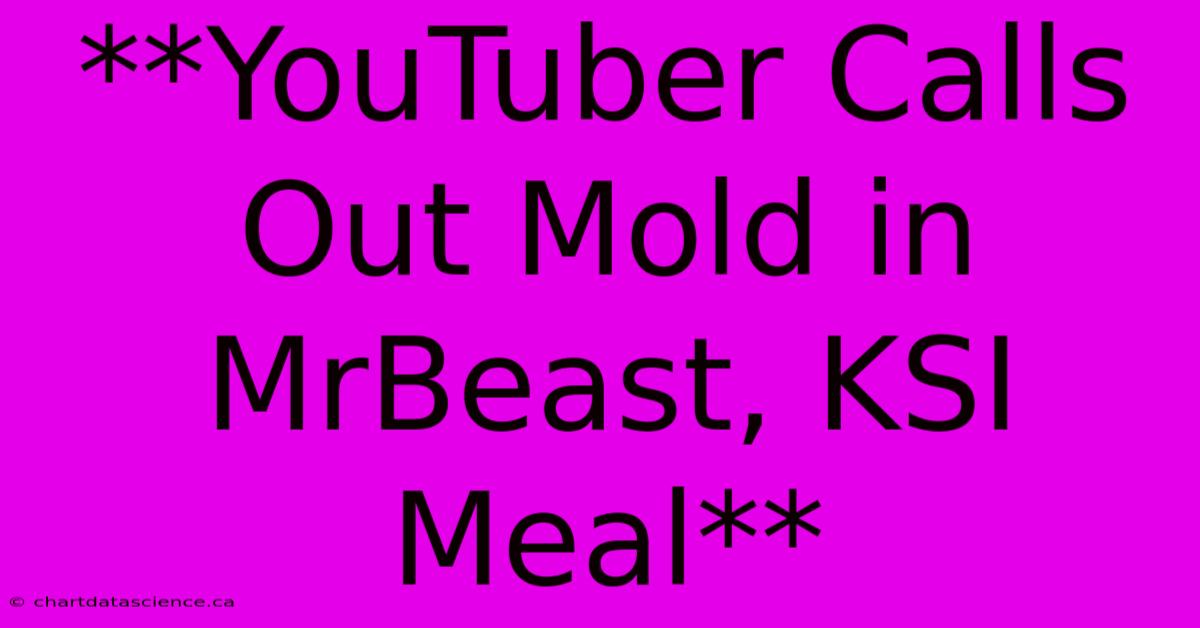 **YouTuber Calls Out Mold In MrBeast, KSI Meal**