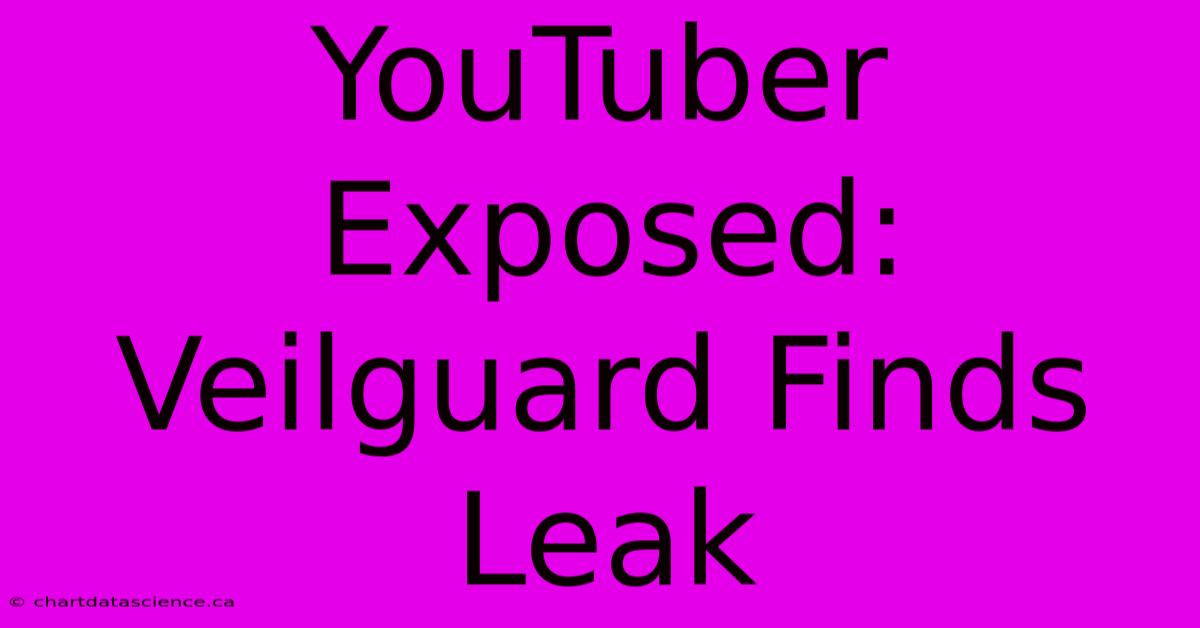 YouTuber Exposed: Veilguard Finds Leak