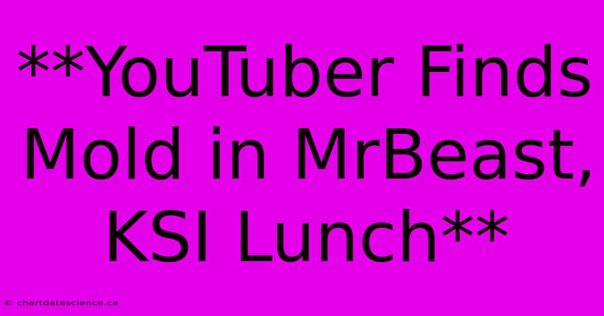 **YouTuber Finds Mold In MrBeast, KSI Lunch**