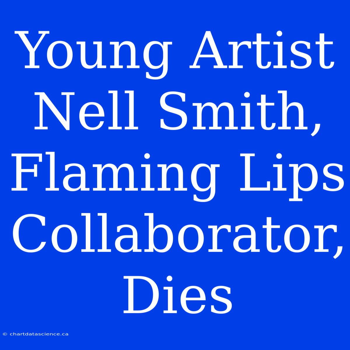 Young Artist Nell Smith, Flaming Lips Collaborator, Dies