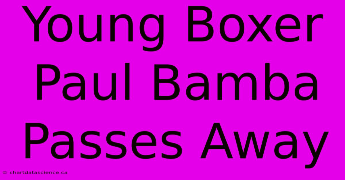 Young Boxer Paul Bamba Passes Away