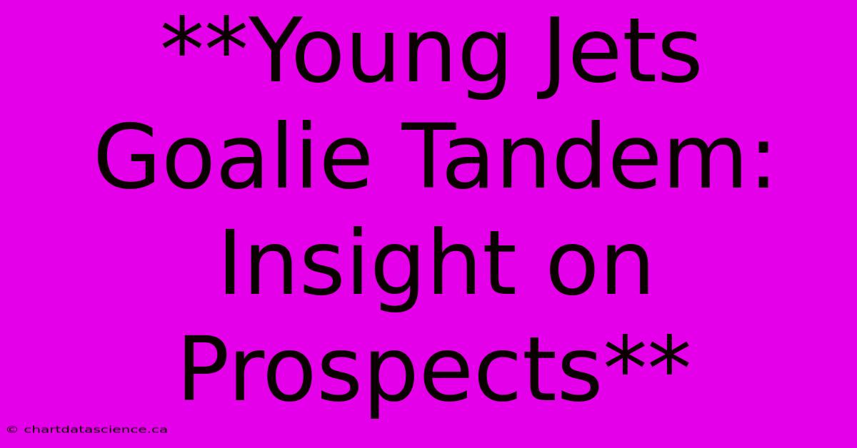 **Young Jets Goalie Tandem: Insight On Prospects**