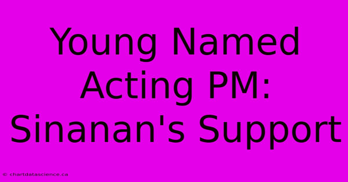 Young Named Acting PM: Sinanan's Support